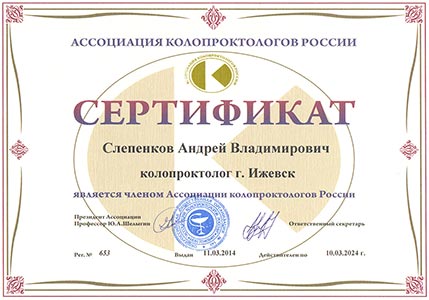Сертификат Слепенкова Андрея Владимировича